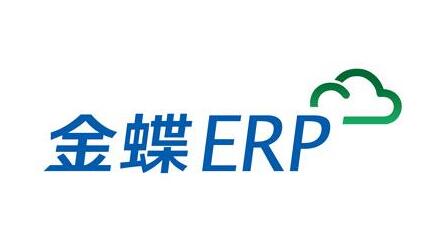 金蝶ERP軟件維護管理